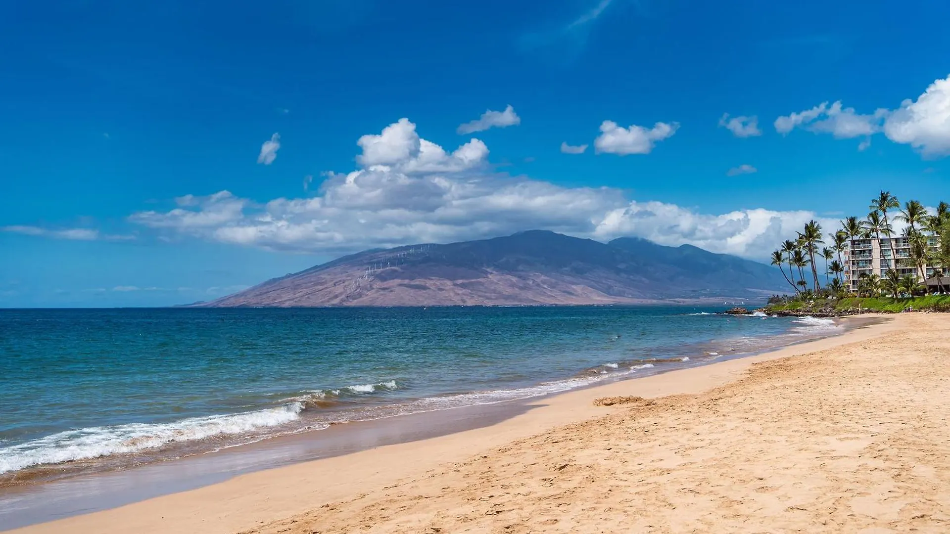 Kamaole Beach Royale 409 - Commanding Ocean Views Kihei 0*,  United States