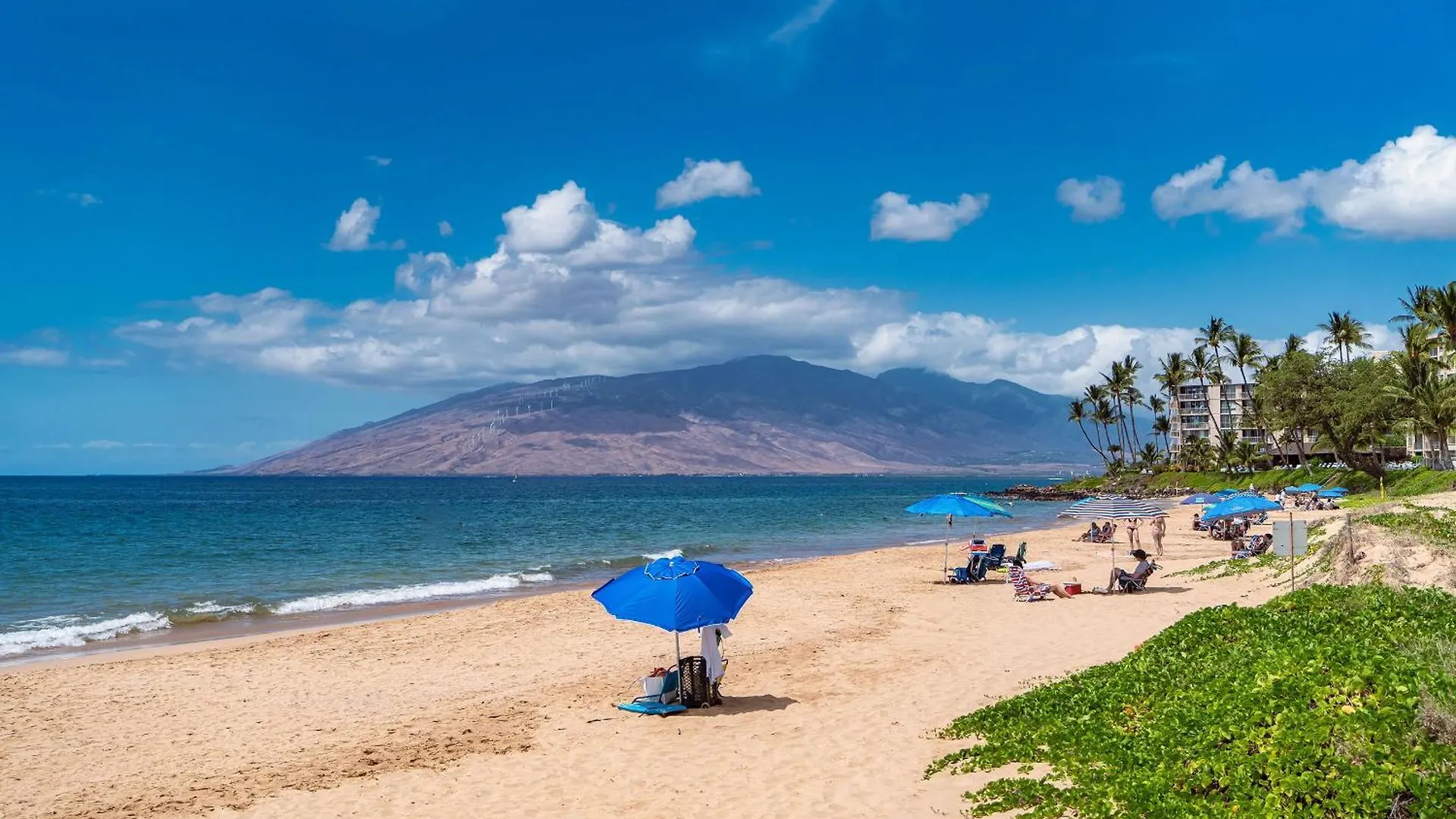 Kamaole Beach Royale 409 - Commanding Ocean Views Kihei